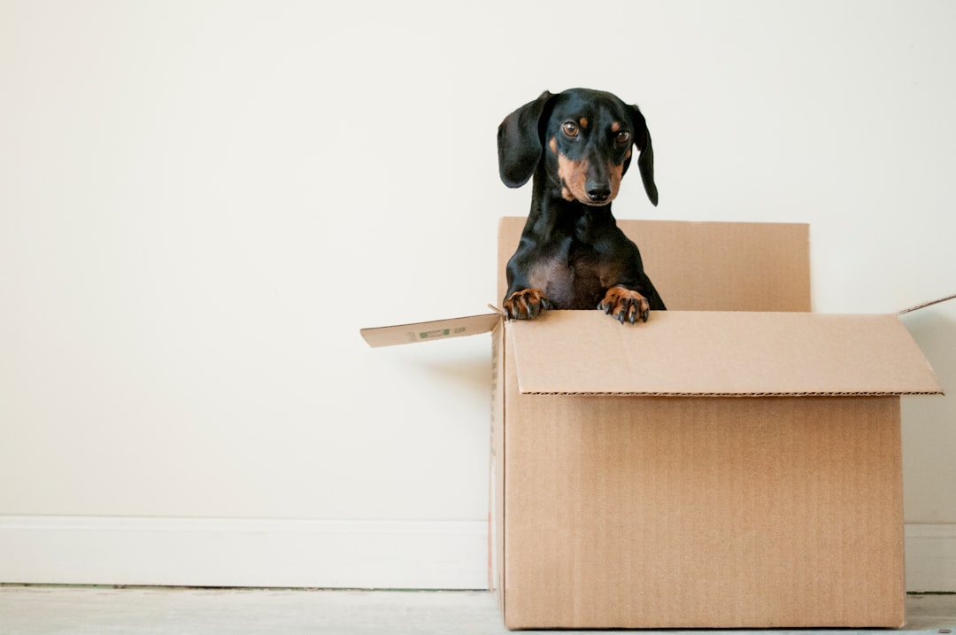 Razones para elegir JustClean como tu empresa de vaciado de pisos